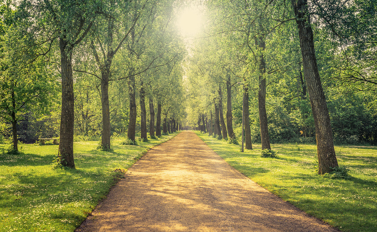 에코힐링 자연환경